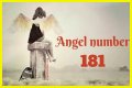 
ANGEL NUMBER 181
