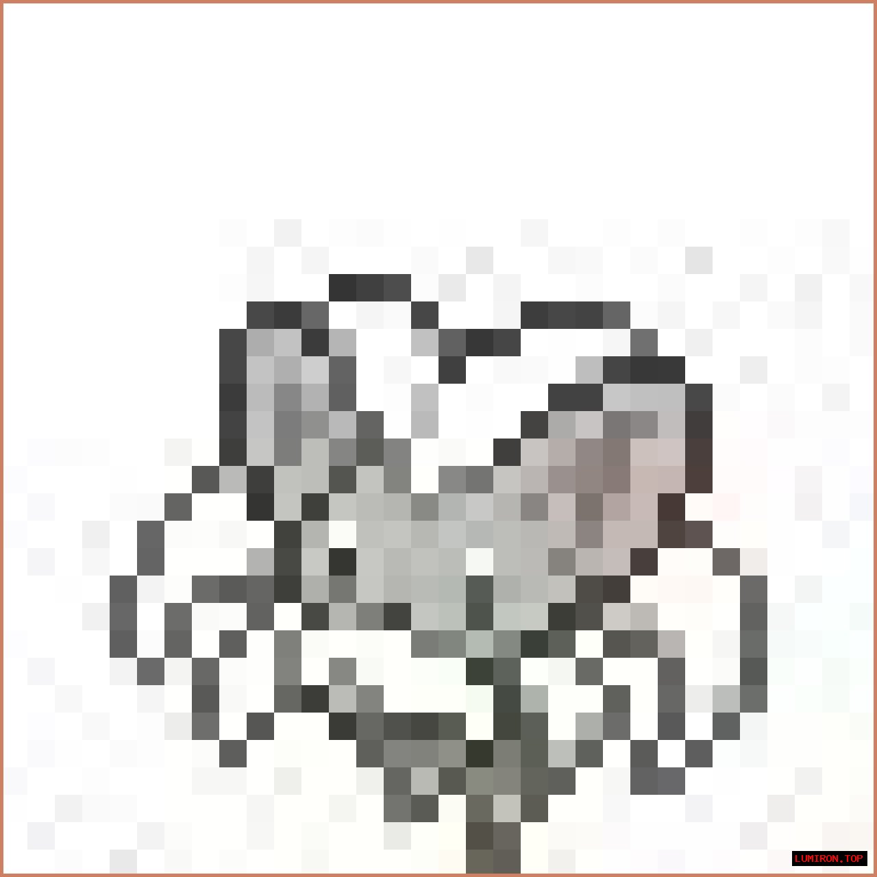 HTML