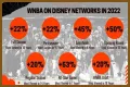 WNBA Season Revenue – Exploring Team Sales and Player Earnings
